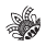 Mandala Bunny