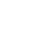 Mandala Bunny